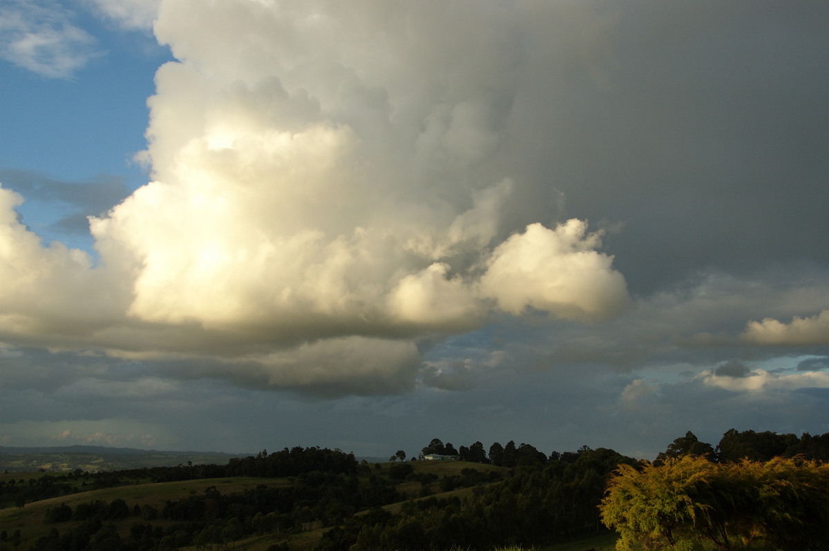 cumulus congestus : McLeans Ridges, NSW   3 May 2009