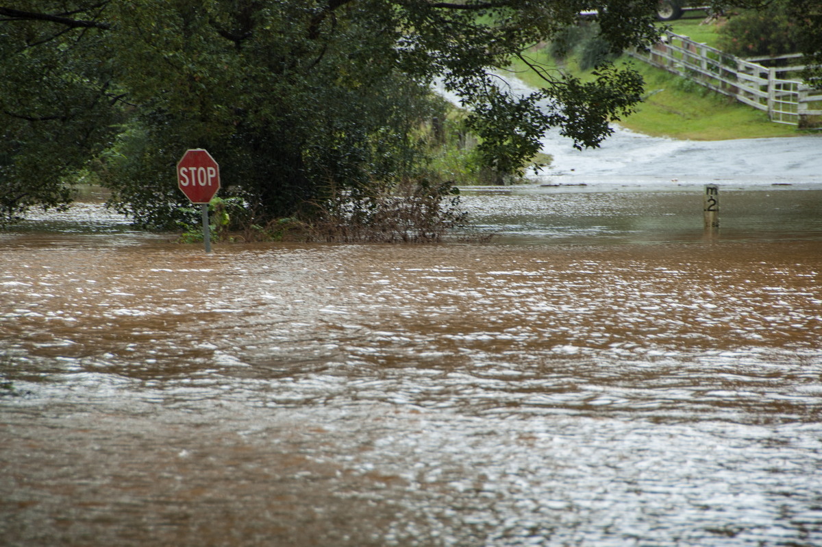 flashflooding flood_pictures : Booyong, NSW   21 May 2009