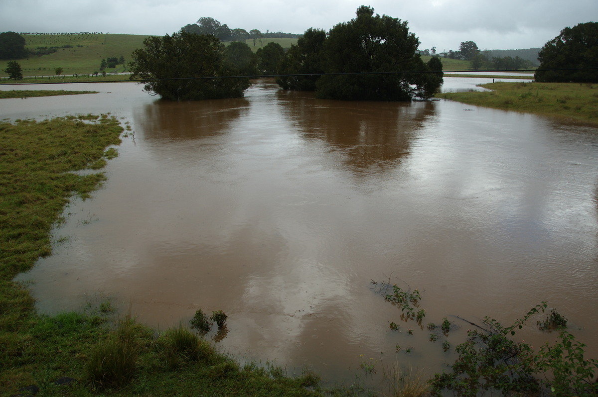 flashflooding flood_pictures : Booyong, NSW   21 May 2009