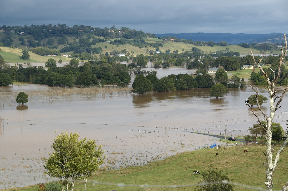 flashflooding flood_pictures : McLeans Ridges, NSW   22 May 2009