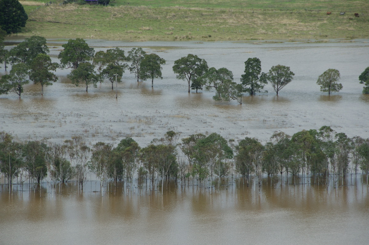 flashflooding flood_pictures : McLeans Ridges, NSW   22 May 2009