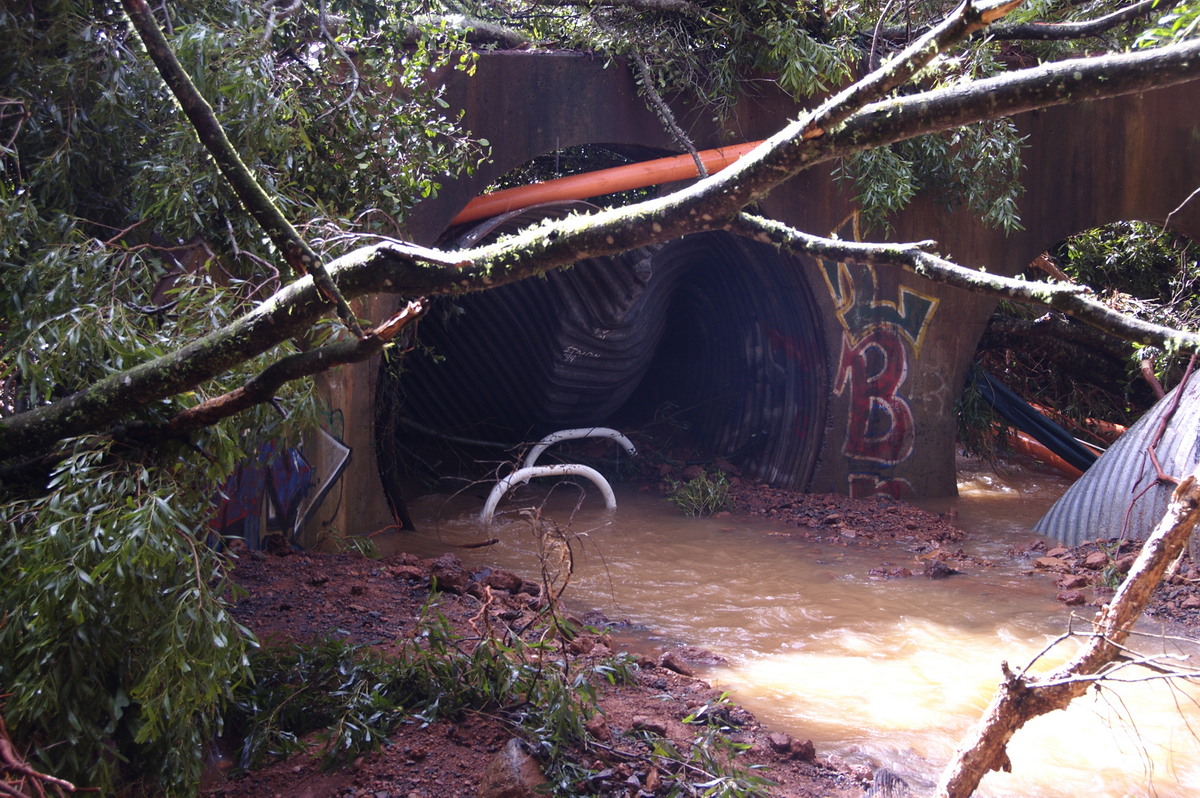 flashflooding flood_pictures : Lismore, NSW   22 May 2009