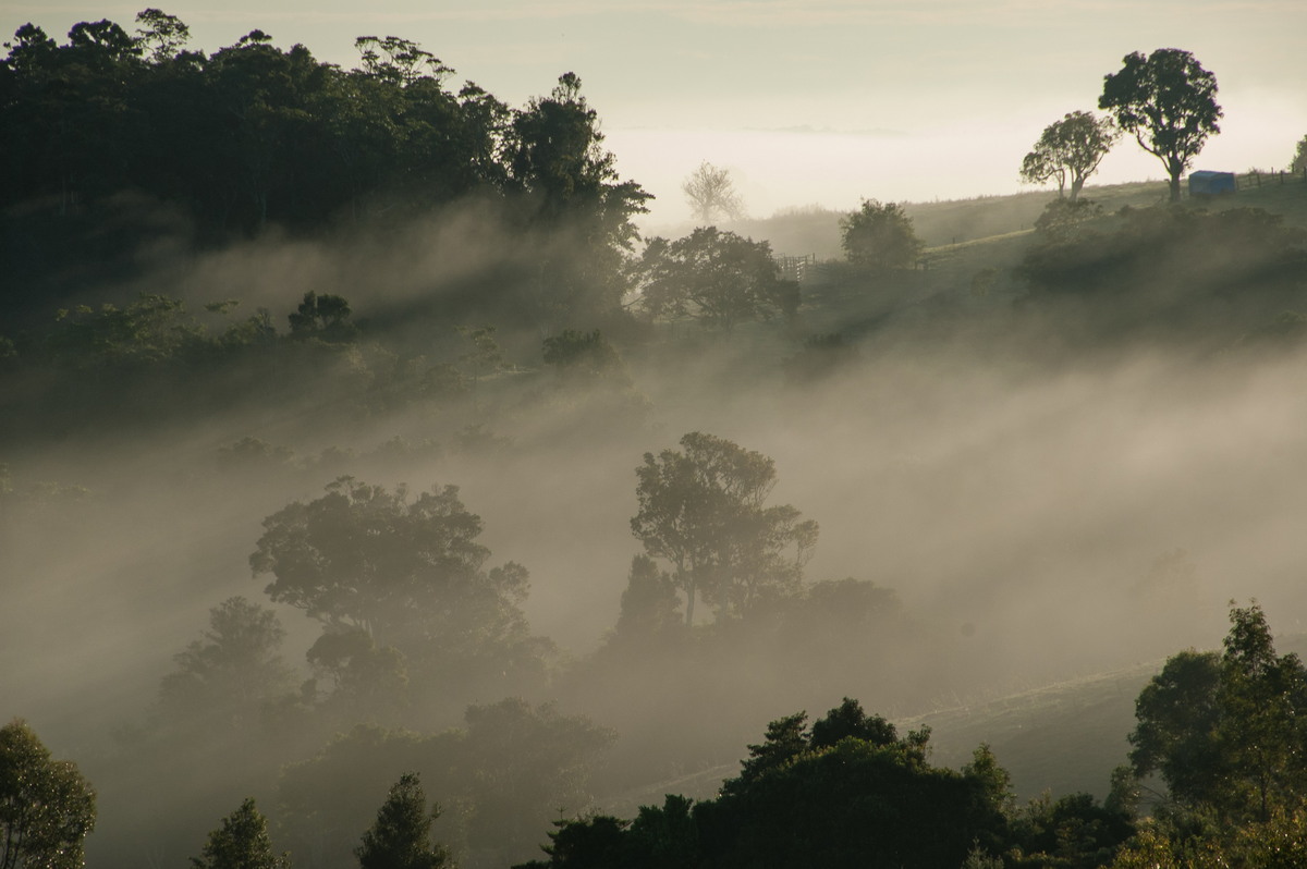 favourites michael_bath : McLeans Ridges, NSW   28 May 2009