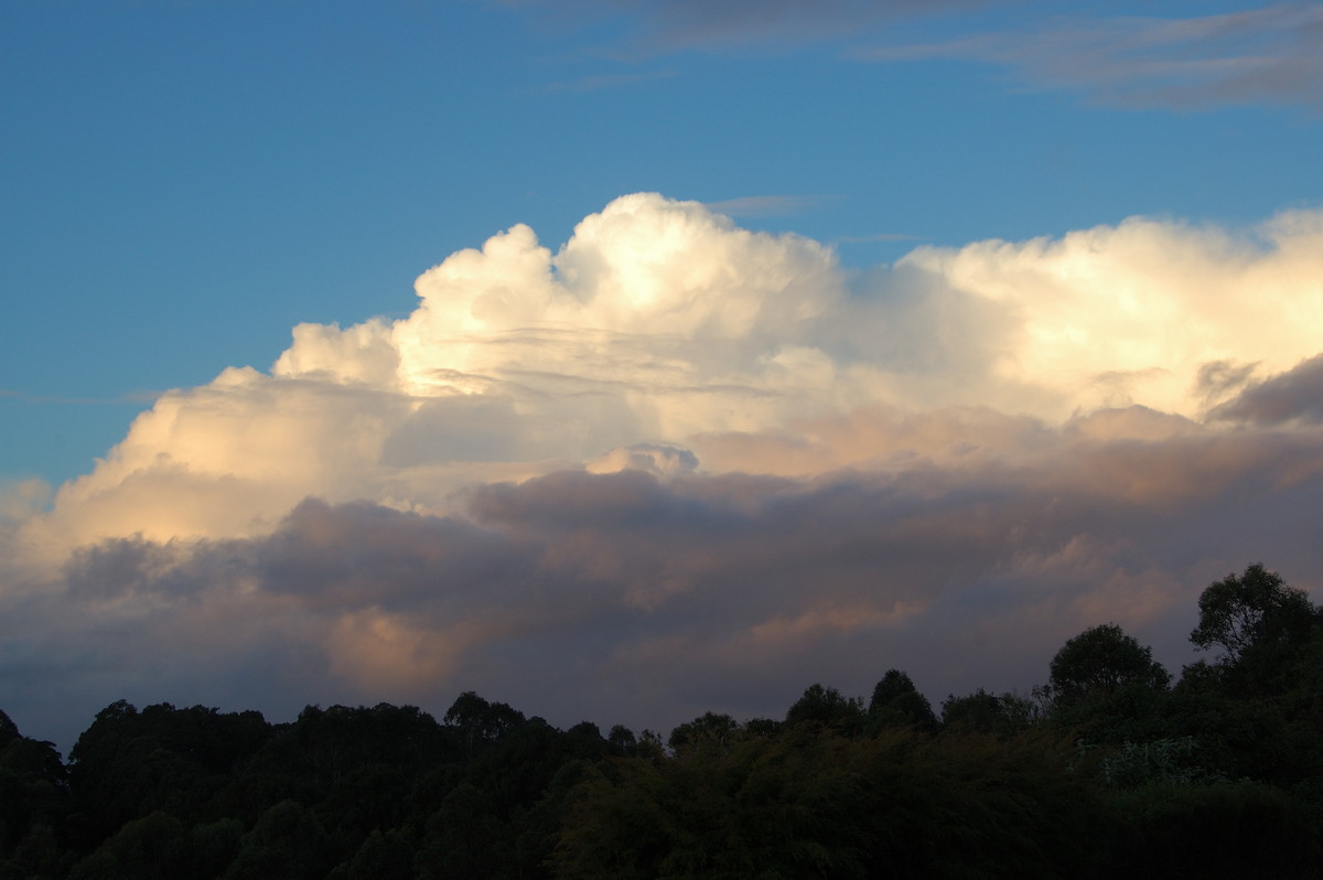 cumulus congestus : McLeans Ridges, NSW   18 June 2009