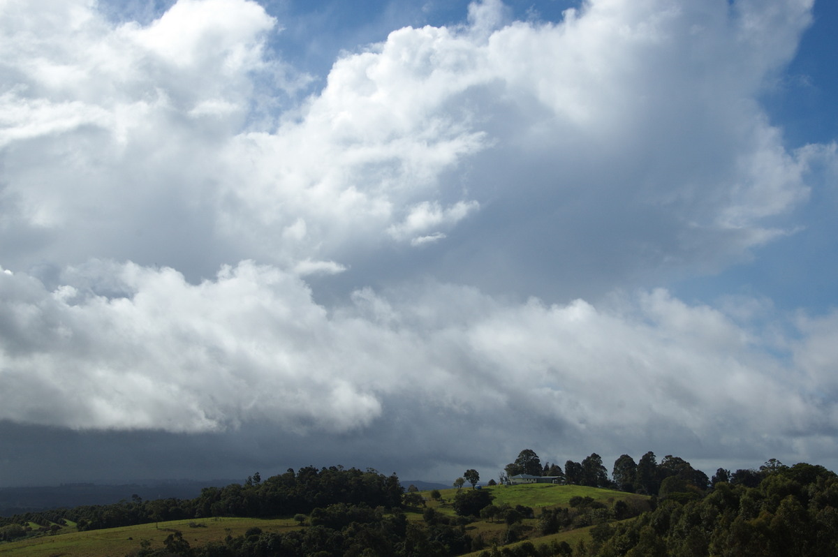 cumulus congestus : McLeans Ridges, NSW   19 June 2009