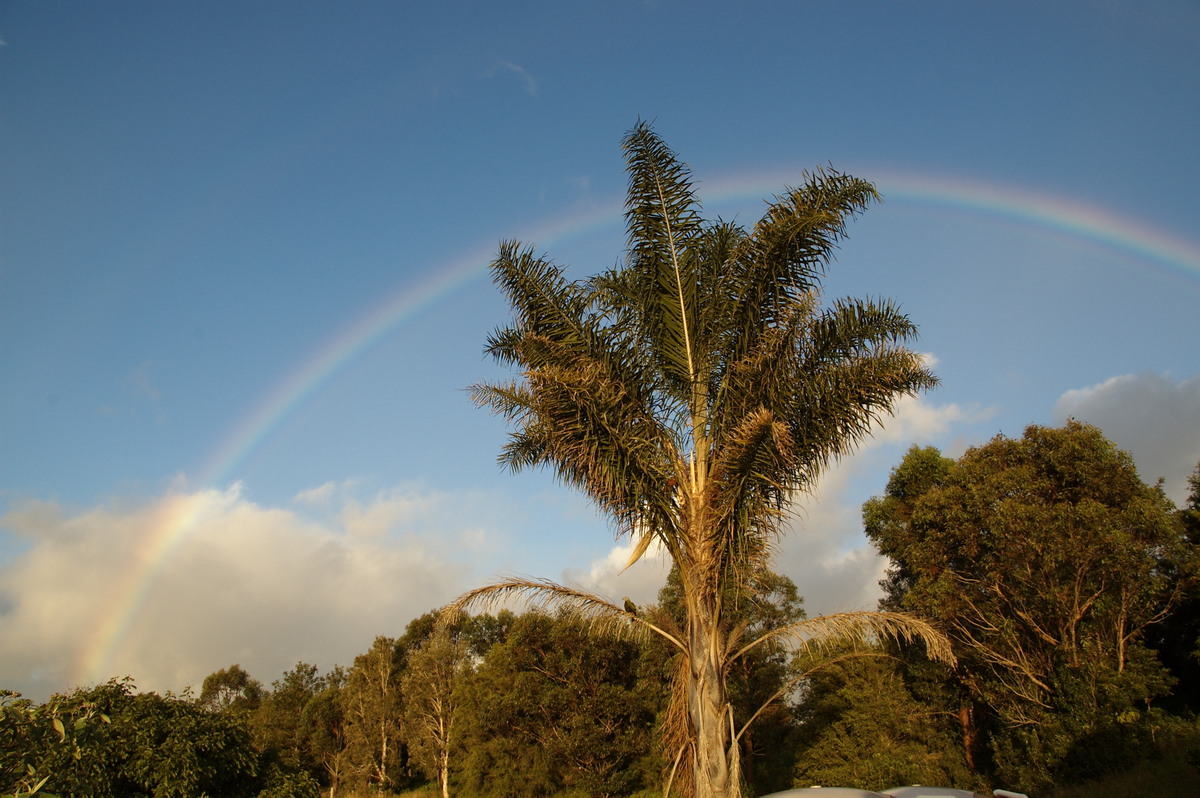 rainbow rainbow_pictures : McLeans Ridges, NSW   9 July 2009