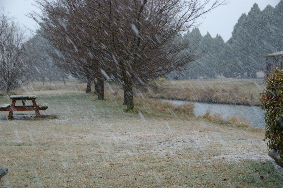 precipitation precipitation_rain : Guyra, NSW   15 July 2009