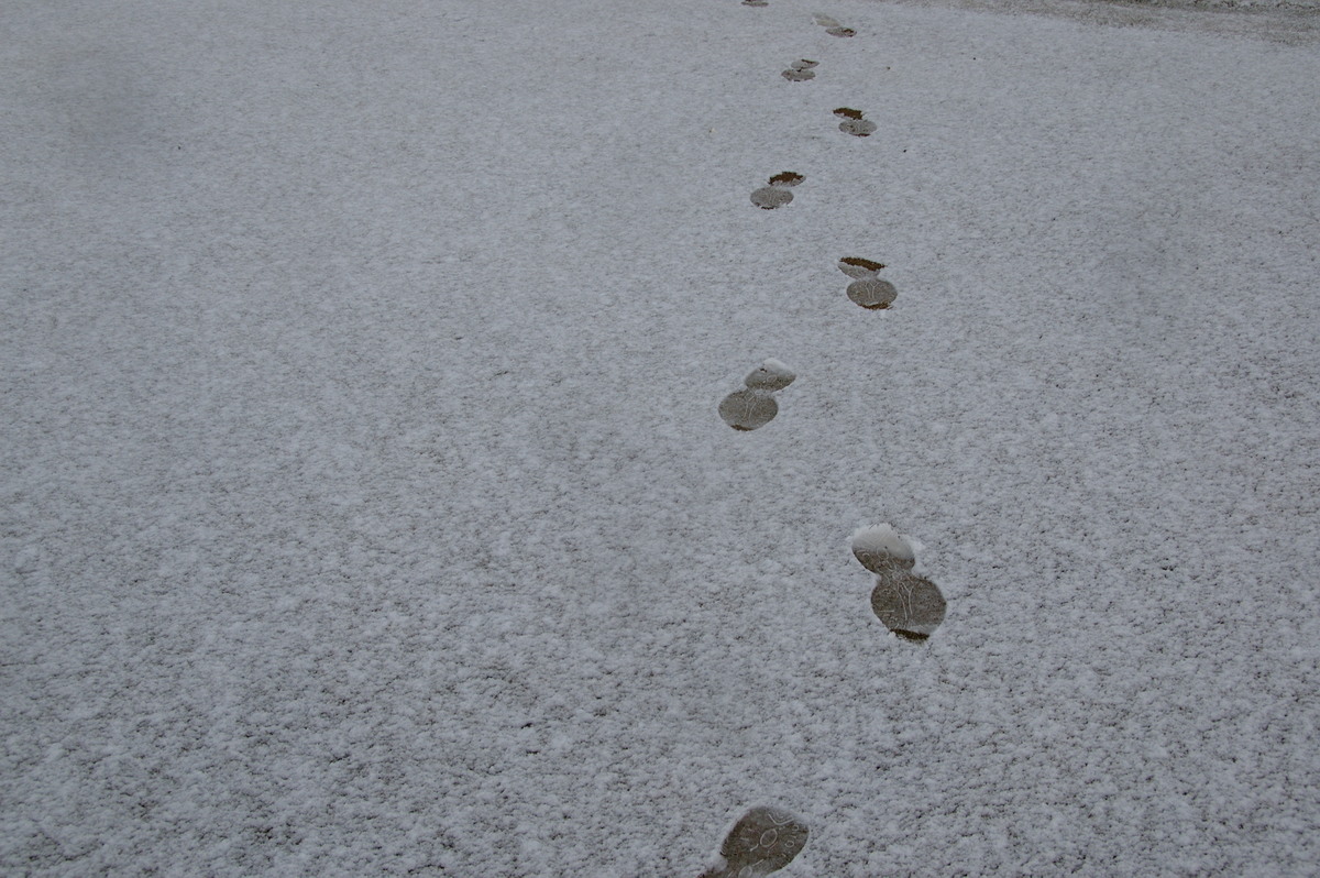 snow snow_pictures : Guyra, NSW   15 July 2009