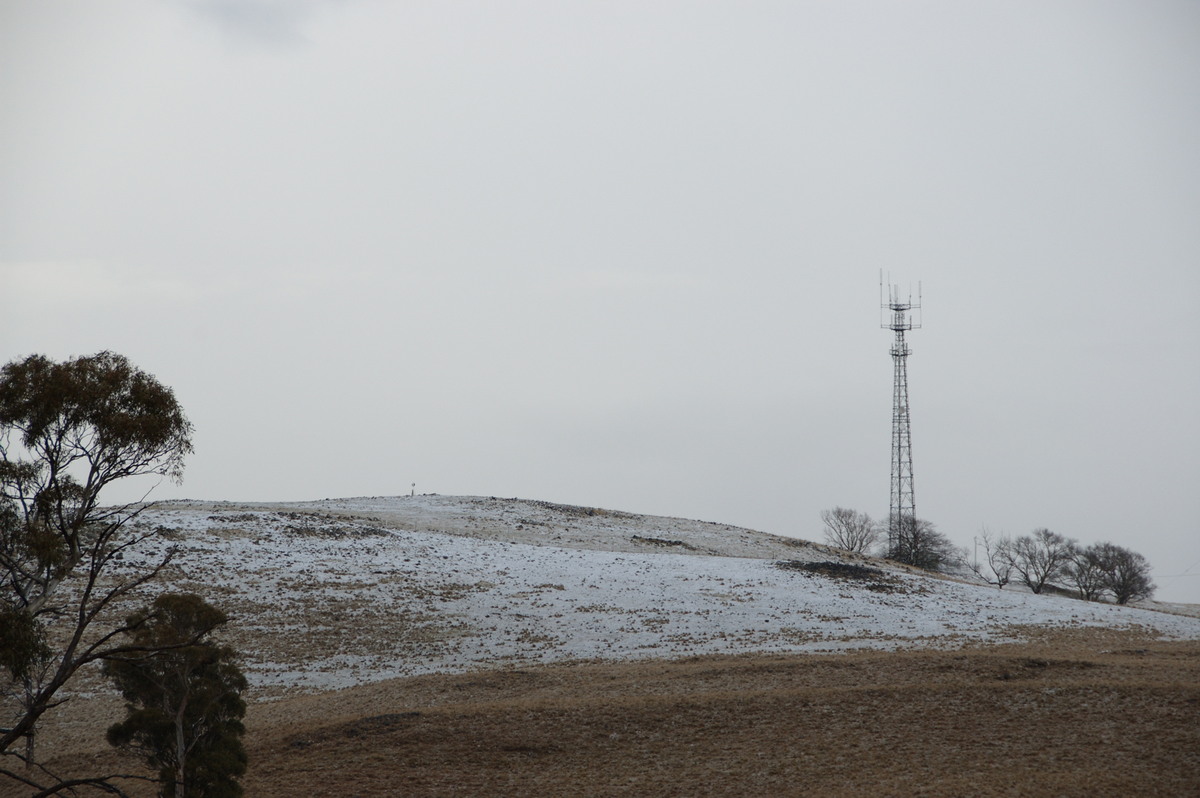 snow snow_pictures : Guyra, NSW   15 July 2009