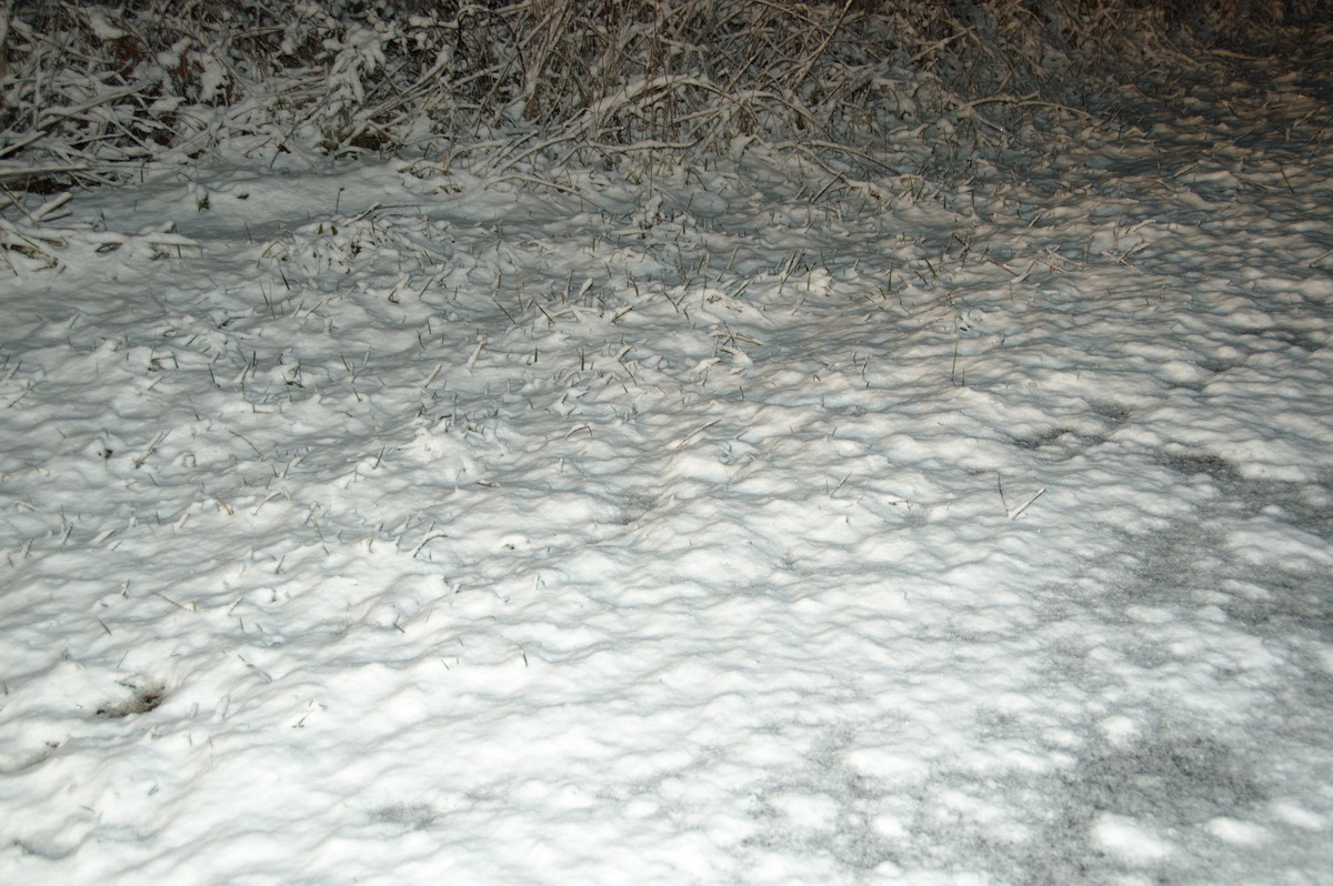 snow snow_pictures : Ben Lomond, NSW   15 July 2009