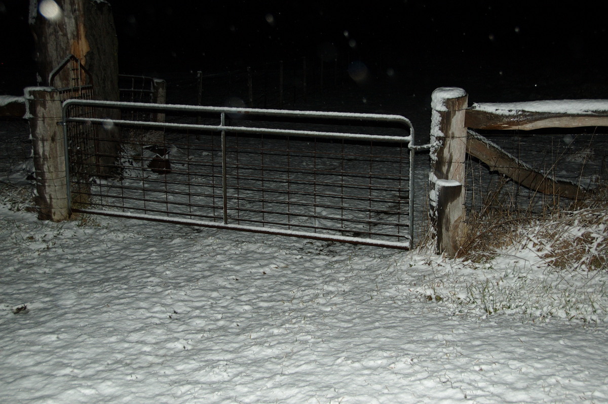 snow snow_pictures : Ben Lomond, NSW   15 July 2009