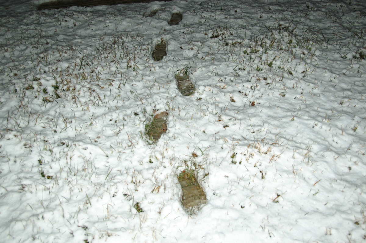 snow snow_pictures : Ben Lomond, NSW   15 July 2009