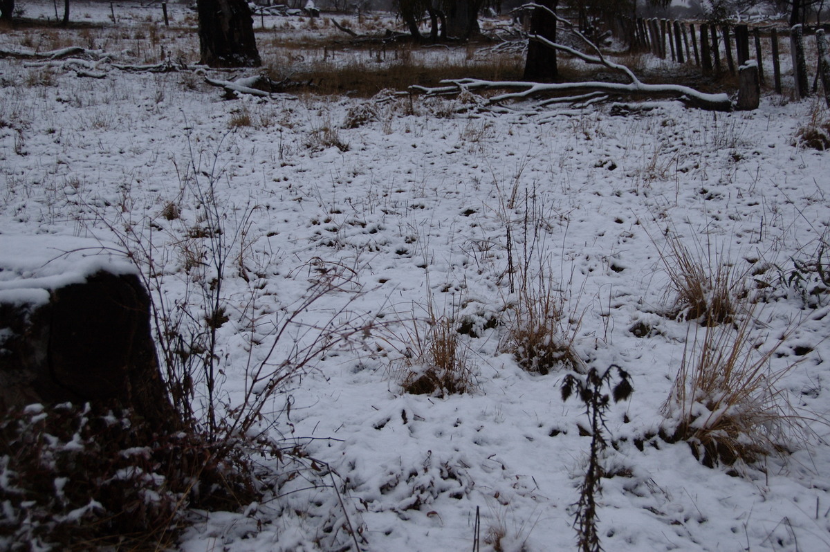 snow snow_pictures : Ben Lomond, NSW   16 July 2009