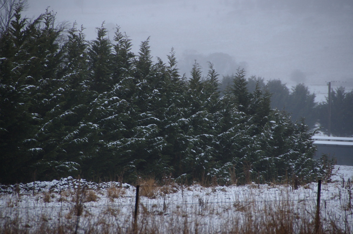 snow snow_pictures : Ben Lomond, NSW   16 July 2009