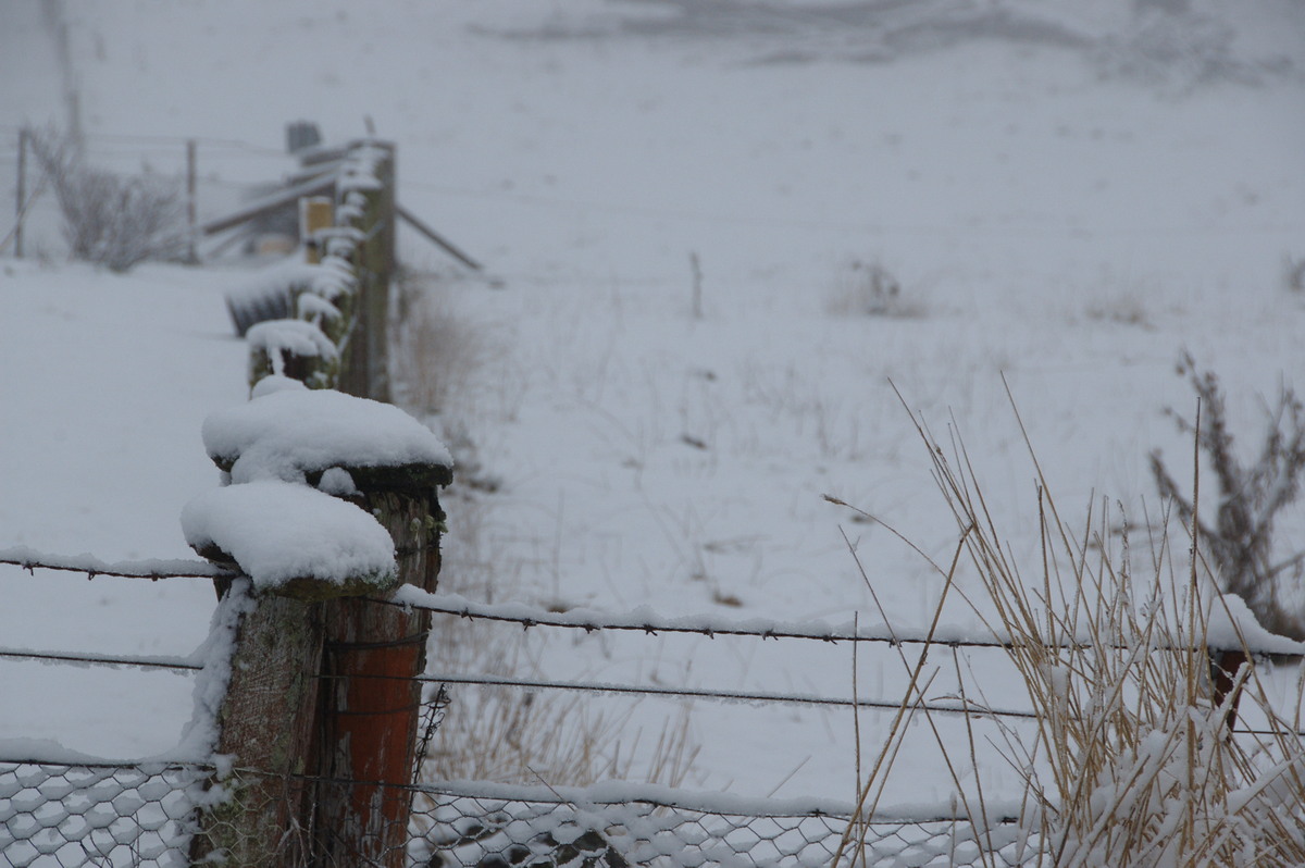 snow snow_pictures : Ben Lomond, NSW   16 July 2009