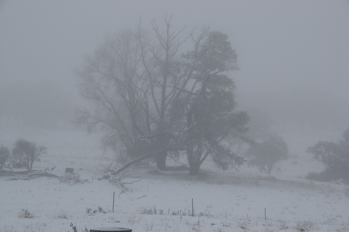 precipitation precipitation_rain : Ben Lomond, NSW   16 July 2009