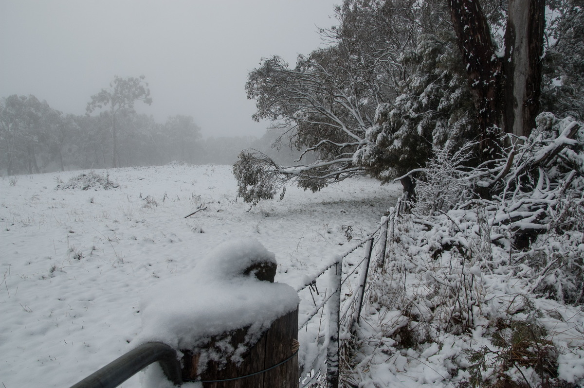 snow snow_pictures : Ben Lomond, NSW   16 July 2009