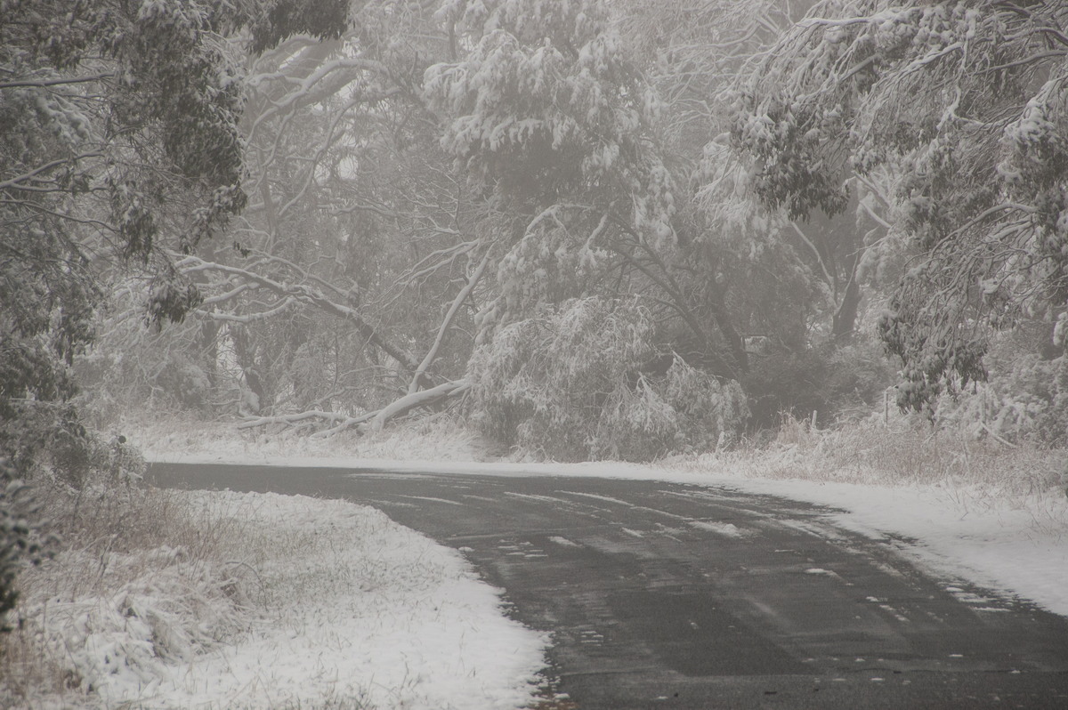 snow snow_pictures : Ben Lomond, NSW   16 July 2009