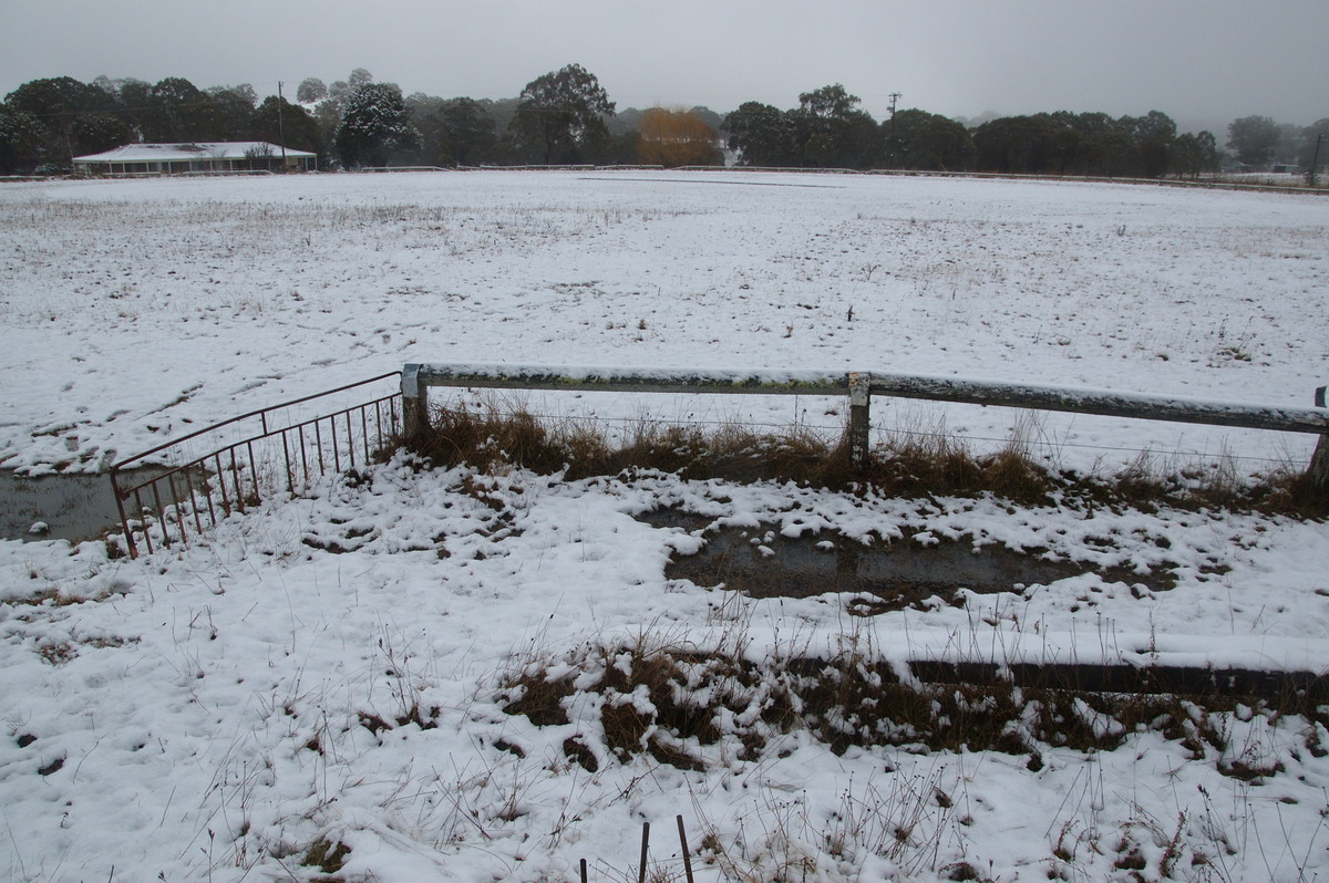 snow snow_pictures : Ben Lomond, NSW   16 July 2009