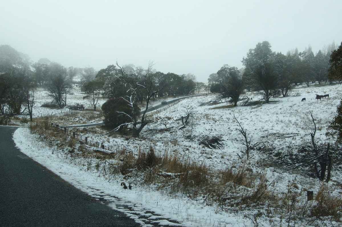 snow snow_pictures : Maybole, NSW   16 July 2009