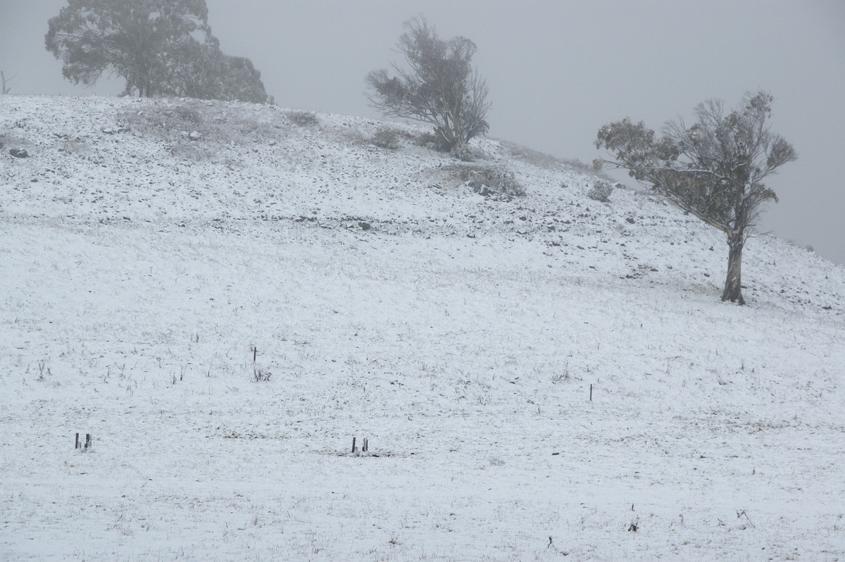 snow snow_pictures : Maybole, NSW   16 July 2009