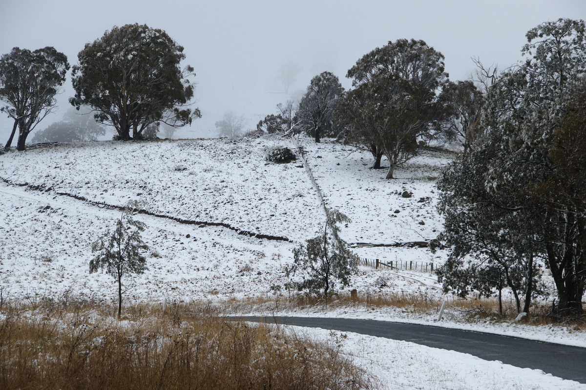 snow snow_pictures : Maybole, NSW   16 July 2009