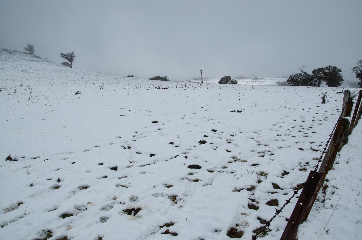 snow snow_pictures : Maybole, NSW   16 July 2009