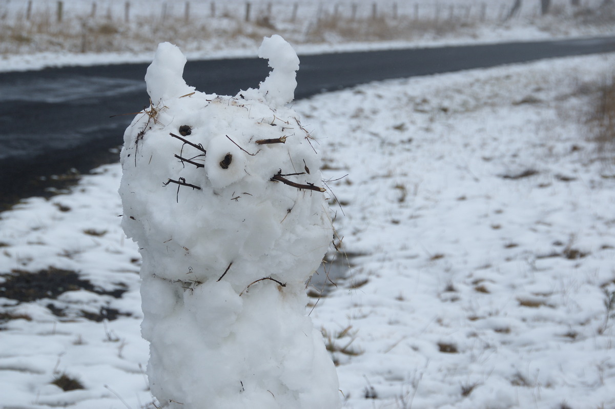 snow snow_pictures : Maybole, NSW   16 July 2009