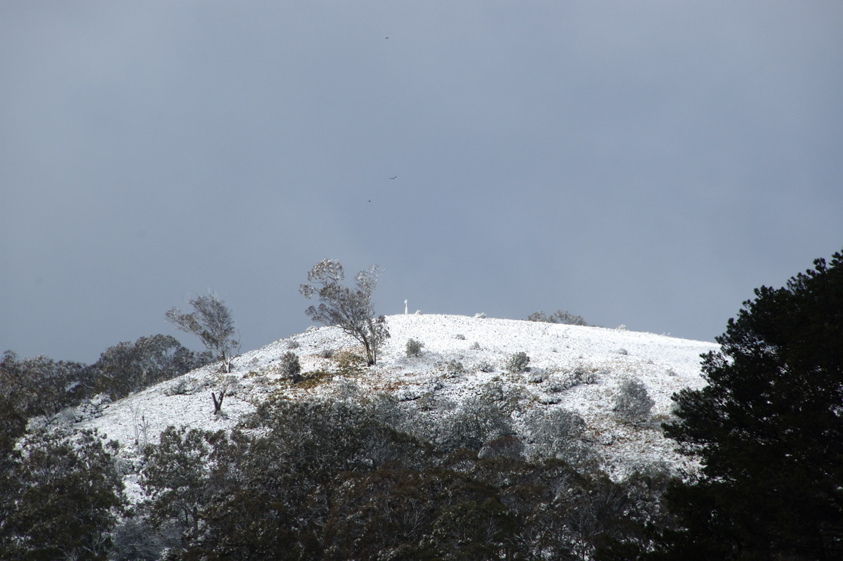 snow snow_pictures : Ben Lomond, NSW   16 July 2009