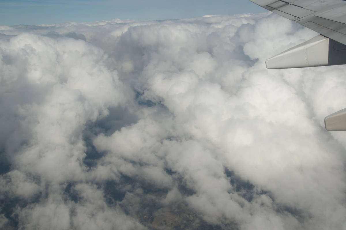 cumulus mediocris : NSW   4 August 2009