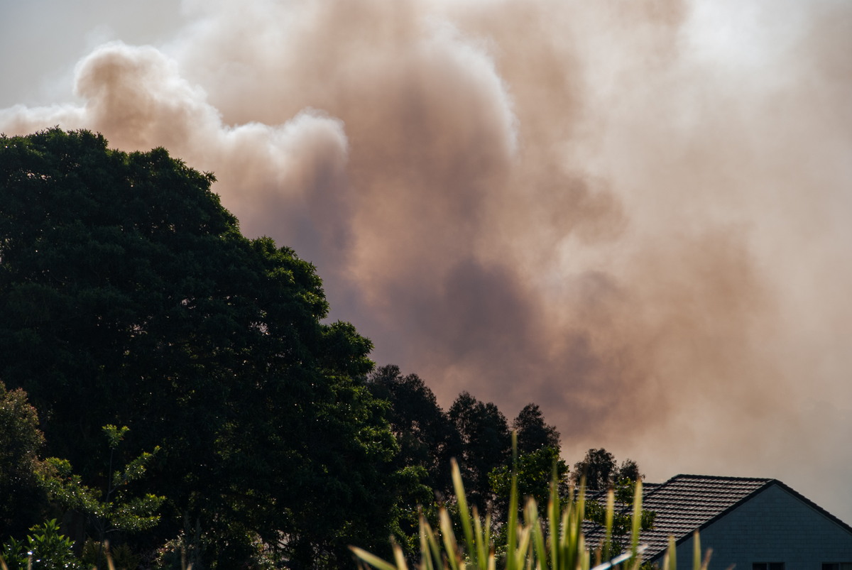 bushfire wild_fire : McLeans Ridges, NSW   14 August 2009