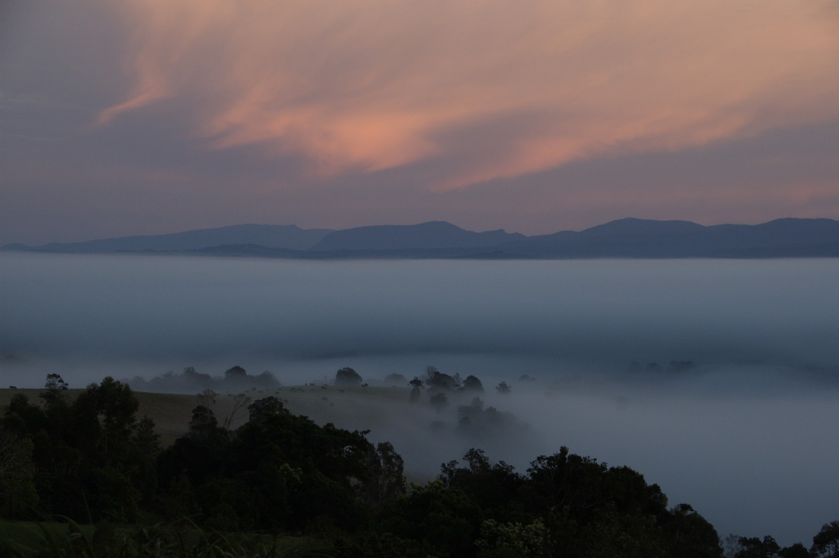 fogmist fog_mist_frost : McLeans Ridges, NSW   20 August 2009