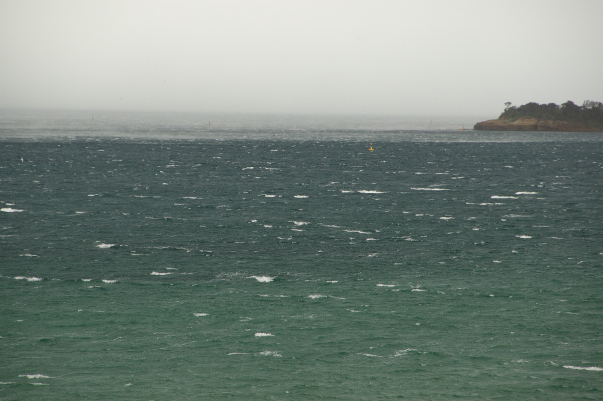 strongwind strong_wind : Mentone, VIC   21 August 2009