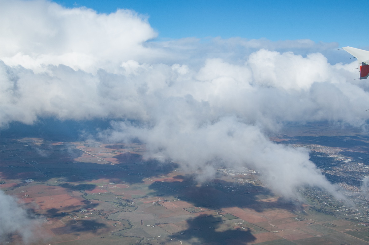 cumulus mediocris : VIC   24 August 2009