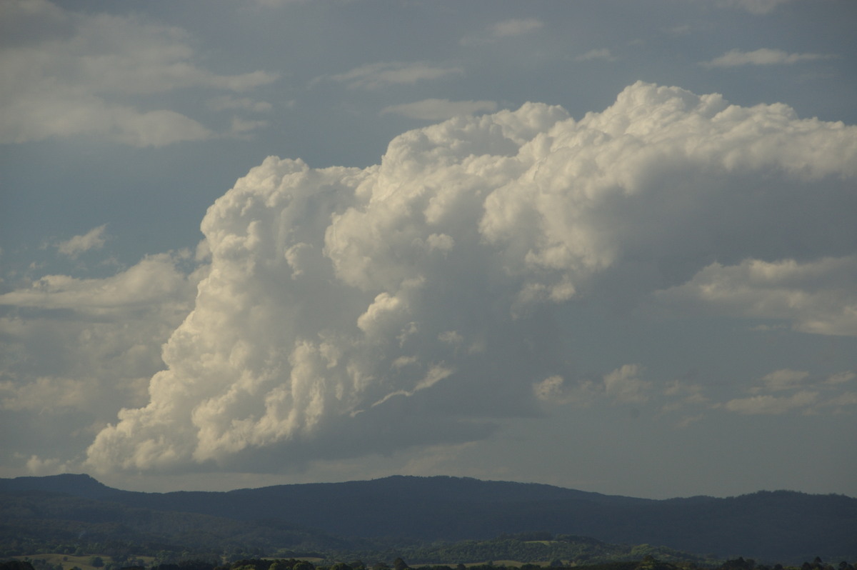 tornadoes funnel_tornado_waterspout : McLeans Ridges, NSW   8 September 2009