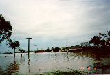 flood_pictures