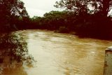 flood_pictures