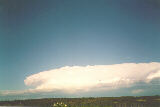 cumulonimbus_incus