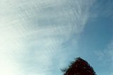 cirrocumulus_cloud