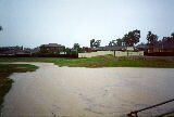 flood_pictures