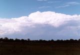 cumulonimbus_calvus