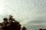 mackerel_sky