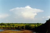 pileus_cap_cloud