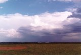 cumulonimbus_incus