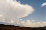 cumulonimbus_incus