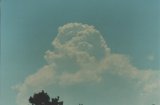 cumulonimbus_calvus