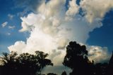 cumulonimbus_calvus