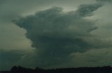 cumulonimbus_calvus