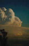 cumulonimbus south of Schofields 5:47pm