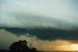 shelf_cloud